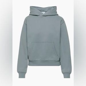 Aritzia Tna Terry Fleece Perfect Hoodie in Gd Shady